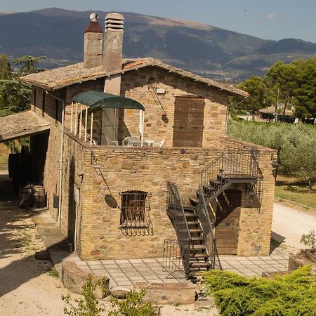 Country House Carmelita Limigiano Luaran gambar
