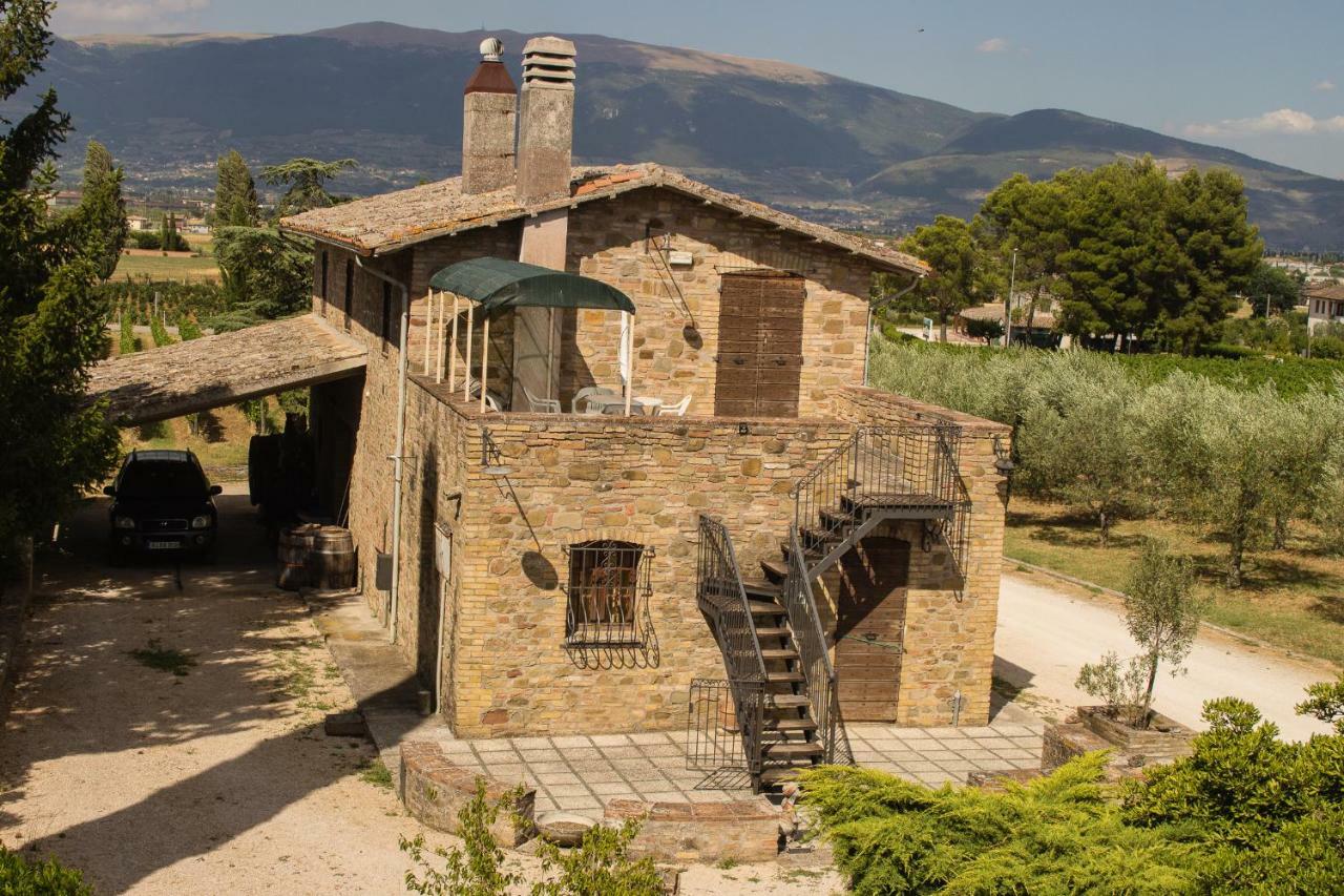 Country House Carmelita Limigiano Luaran gambar